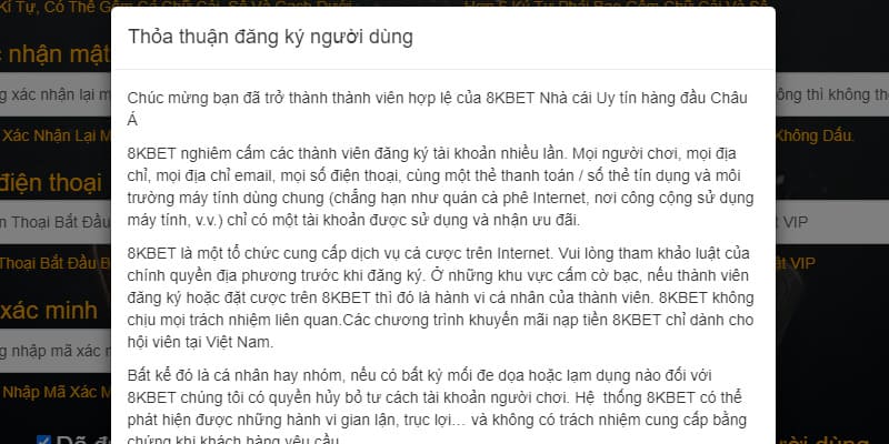 Đọc kỹ điều khoản và xác nhận tuổi để hoàn thành đăng ký 8KBET 