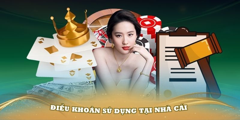 Những quy định cần nắm trong điều khoản sử dụng khi tiến hành đăng ký